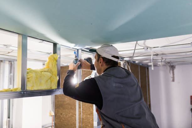 Types of Insulation We Offer in Crest Hill, IL